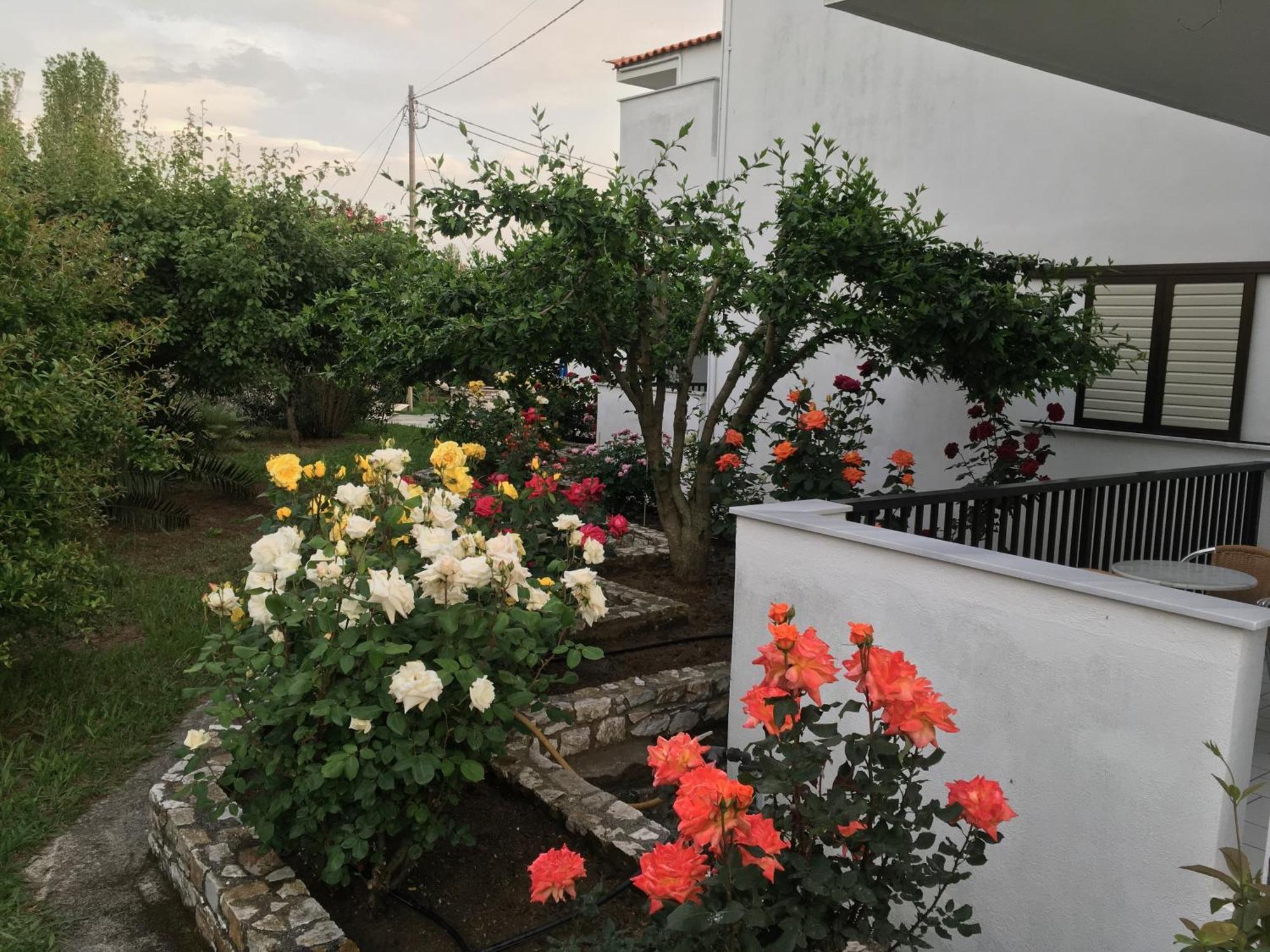 Adult Only - Hotel Suzanna Achladies  Exterior photo